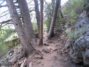 Tonto Natural Bridge 106